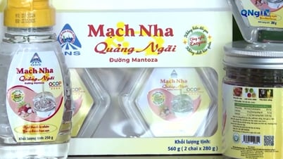 642 منتجًا من منتجات OCOP