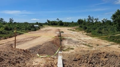 Sớm hoàn thiện đường dẫn cầu Quảng Đà để đưa vào khai thác