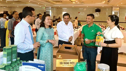 Chú trọng xây dựng du lịch đặc trưng trong không gian du lịch mới