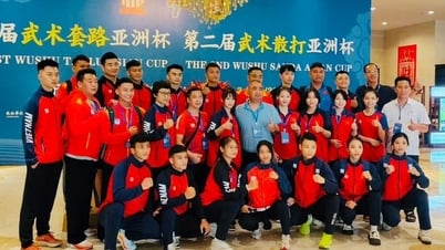 Wushu Việt Nam xếp hạng ba toàn đoàn giải châu Á