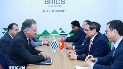 Uruguay luôn coi trọng và mong muốn phát triển quan hệ với Việt Nam