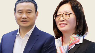Bảo hiểm PJICO làm ăn ra sao dưới thời 2 CEO vừa bị khởi tố?