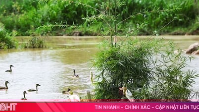 Complexe écologique dynamique au cœur du centre-ville de Ha Tinh