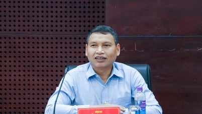 Da Nang propose des solutions pour augmenter la croissance du PIBR et les recettes budgétaires