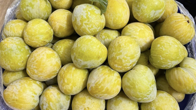 Thêm một loại quả Trung Quốc đổ bộ chợ Việt, giá 450.000 đồng/kg vẫn ‘cháy hàng’