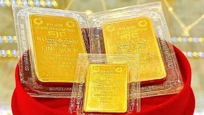 8 سبتمبر 2025: المجلس الأعلى للقضاء 8 سبتمبر 2025: المجلس الأعلى للقضاء 8 سبتمبر 2025: المجلس الأعلى للقضاء