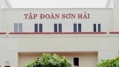 Vụ Tập đoàn Sơn Hải trượt thầu: Bộ Tài chính báo cáo gì về tổ chuyên gia?