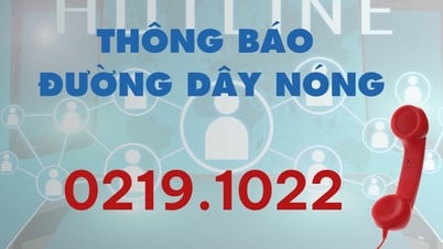 Thông báo số điện thoại đường dây nóng hỗ trợ, hướng dẫn, giải đáp phản ánh, kiến nghị của tổ chức, cá nhân