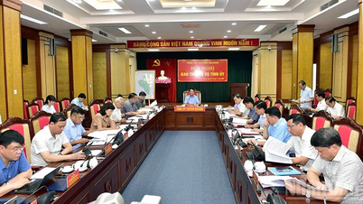 El Comité Permanente del Comité del Partido Provincial de Tuyen Quang creó 22 equipos de inspección para comunas y barrios.