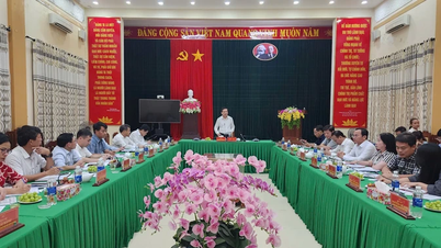 Le secrétaire adjoint permanent du Comité provincial du Parti, Nguyen Long Hai, a inspecté le fonctionnement du modèle de gouvernement local à deux niveaux.
