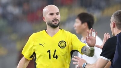 Revealing about the naturalized Malaysian player, why did he have to 'go through' Johor Darul Ta'zim Club?