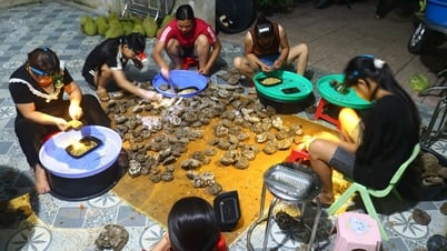 De nombreuses personnes de la région montagneuse de Nghe An se rendent dans la forêt pour chasser les ruches dorées et peuvent gagner des millions de dongs par jour.