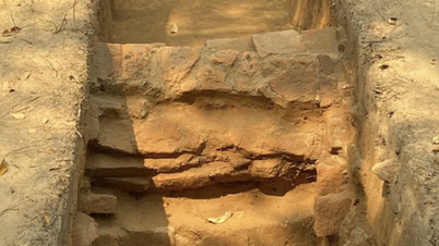 Why did Da Nang propose archaeological excavation at My Son temple complex?