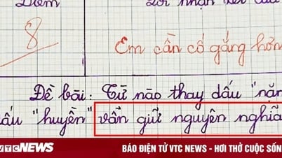 Which word in Vietnamese retains the same meaning if the grave accent is replaced with a grave accent?