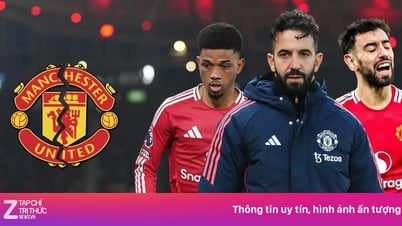 Amorim gây sức ép, MU hủy hợp đồng chục triệu bảng