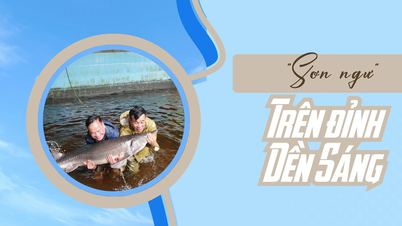 "Sơn ngư" trên đỉnh Dền Sáng