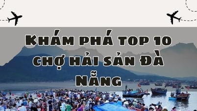 Khám phá top 10 chợ hải sản Đà Nẵng: Nơi hội tụ tinh hoa biển cả!