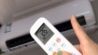 L'industrie électrique du Sud « révèle » le secret pour réduire la facture d'électricité mensuelle