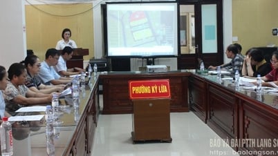 Annonce d'un ajustement local de la planification détaillée du quartier de Hoang Van Thu, ville de Lang Son (ancienne) à l'échelle 1/500