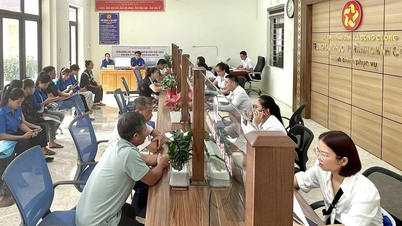 Toàn tỉnh tiếp nhận 3051 hồ sơ thủ tục hành chính