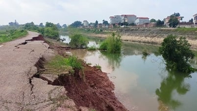 Bắc Ninh: Xuất hiện sự cố sạt lở đê bối