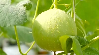Sản xuất sạch để có thực phẩm sạch