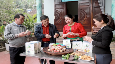 Thịt chua Lâm Tin - hương vị Mường Vang lên men từ ký ức