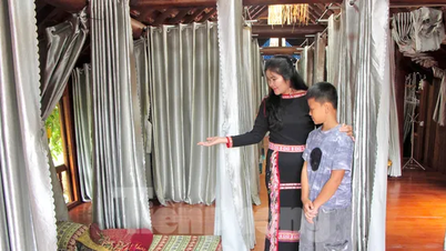 مزيد من المعلومات التقليدية