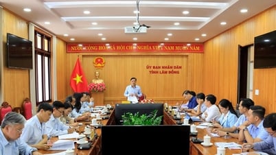 Phó Chủ tịch UBND tỉnh Lê Trọng Yên làm việc với Thanh tra tỉnh