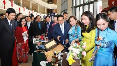 Du lịch Việt Nam vượt khó, vững bước tiến vào kỷ nguyên mới