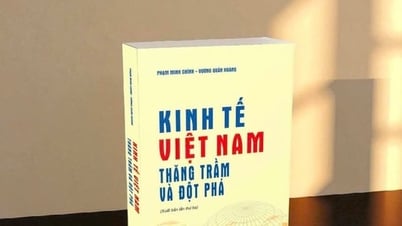 “เศรษฐกิจเวียดนาม – ขึ้นๆ ลงๆ และการเคลื่อนไหว” – ข้อมูลเพิ่มเติม