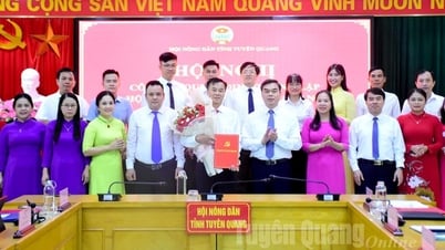 សមាគមកសិករខេត្ត Tuyen Quang