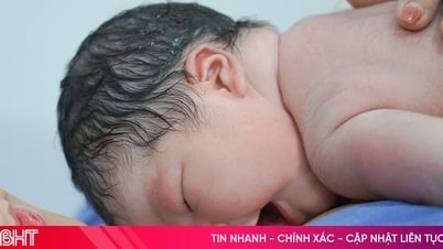 Trung bình một phụ nữ Hà Tĩnh sinh bao nhiêu con?