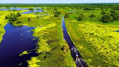 U Minh Thuong National Park - Attractive ecological destination