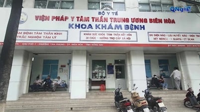 Bộ Công an thông tin về vụ án xảy ra tại Viện Pháp y tâm thần trung ương Biên Hoà