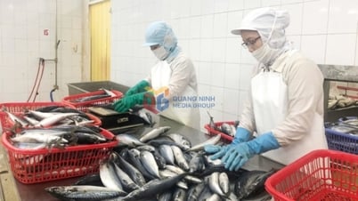 Las empresas superan dificultades y mantienen el impulso exportador.