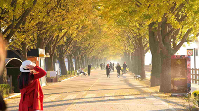 Korea Travel 2025: Where is beautiful? What to eat? Where to go?