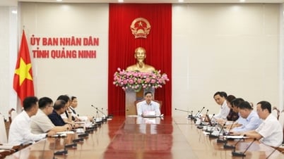 UBND tỉnh nghe ý tưởng đầu tư tổ hợp kinh tế tuần hoàn năng lượng xanh GH2