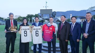 활동, 브라질 최고 축구 컵 여행, 베트남과의 협동 활동