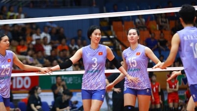 Nóng: 'Sếu vườn' Trần Thị Thanh Thúy chính thức trở lại Nhật Bản thi đấu