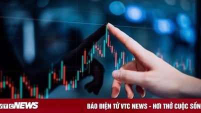 Vn 지수, 폭발적으로 상승세를 이어가며 출시될 예정입니다.