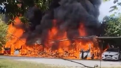 Loạt xe điện và 1 ô tô bốc cháy ngùn ngụt tại khu du lịch
