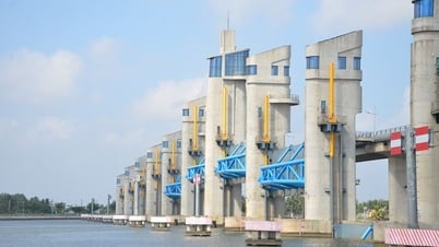 انظر المزيد: An Giang انظر المزيد