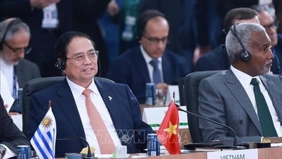 قمة البريكس 2025: رئيس الوزراء Nord حول مزيد من المعلومات