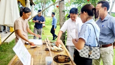 Đà Nẵng ra mắt mạng lưới du dịch Việt Nam không rác