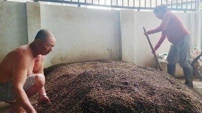 Sống đời bọt nước cùng con hến quê nghèo
