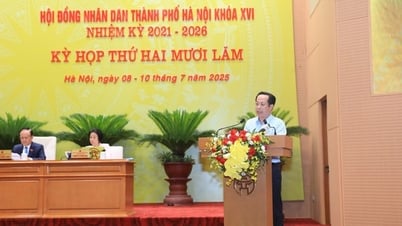 Hà Nội: Hơn 3.000 tỉ đồng hỗ trợ bữa ăn bán trú cho học sinh tiểu học