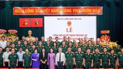 Thống nhất phương án chuyển giao chức năng, nhiệm vụ Tạp chí Cựu chiến binh TPHCM