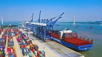 Chấp thuận chủ trương đầu tư xây dựng 4 bến cảng container mới tại Hải Phòng