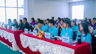 Sinh viên Hàn Quốc giao lưu, hỗ trợ CNTT tại Trường Đại học Bạc Liêu.